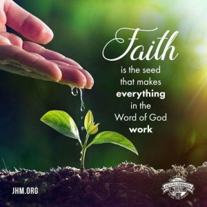 Faith like a mustard seed